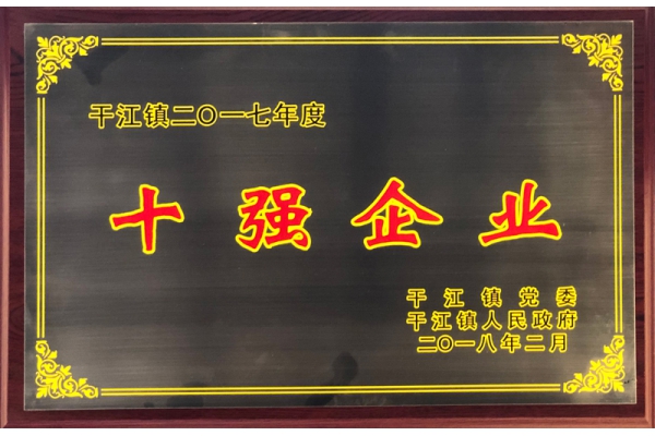 Ganjiang Town Top Ten Enterprises in 2017