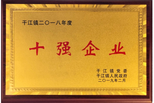 Ganjiang Town Top Ten Enterprises in 2018